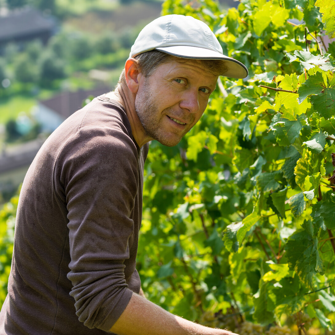 Hoss Hauksson crafting wine with nature's symphony Meer