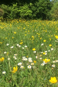 Anche un parco in città è ricco di stimoli e sorprese in ogni stagione