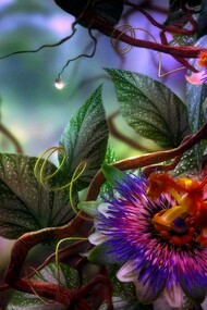 L'oroscopo di Giugno