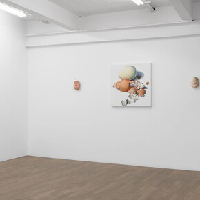 France Bizot, Natures molles, vue de l'exposition. Avec l'aimable autorisation de la galerie Backslash