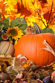 I frutti dell'Autunno