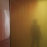 Ann Veronica Jenssens