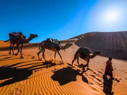 A person leading his camels across the Moroccan desert, representing diplomacy shaped by patience, endurance, and long-term vision
