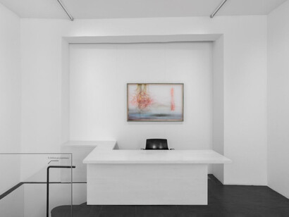 Lêna Bùi, Skin in my stomach, ausstellungsansicht. Mit freundlicher genehmigung der Galerie Urs Meile