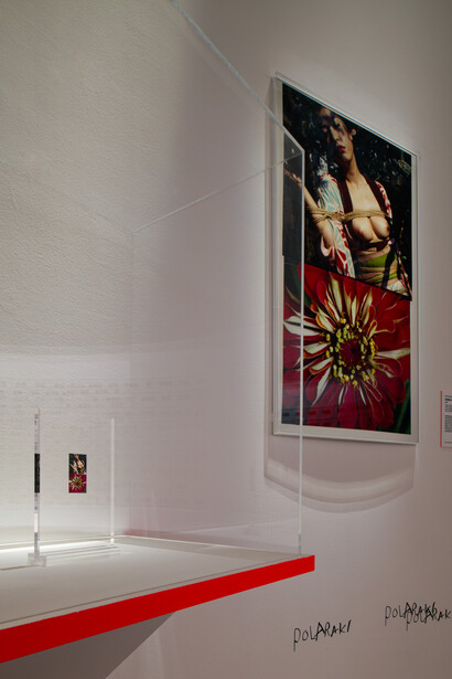 Araki Nobuyoshi, Polaraki, vue d'exposition. Avec l'aimable autorisation du Musée Guimet