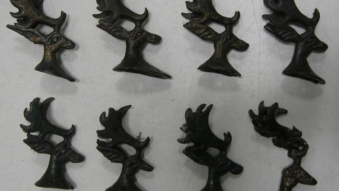 Ancient sindica and semibratneye site: the 150th anniversary of the study. Courtesy of the State Hermitage Museum