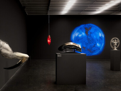 The world without us, ausstellungsansicht. Mit freundlicher genehmigung des Lentos Kunstmuseums
