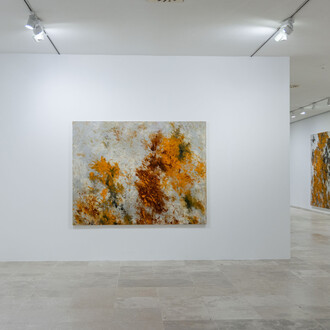 Carlos León, Suite Dánae, vista de exhibición. Cortesía del Museo Patio Herreriano