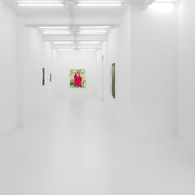 Iris van Dongen, To be at home in the world, vista de exhibición. Cortesía de Casado Santapau Gallery