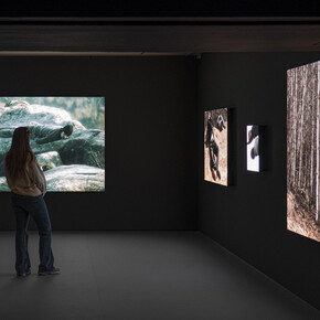 Roman Khimei and Yarema Malashchuk, Pedagogies of war, exhibition view. Courtesy of Museo Thyssen-Bornemisza