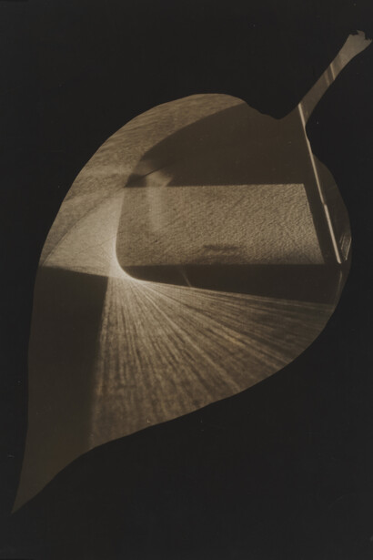 György Kepes, 1906-2001, Leaf and Prism 1938, Photograph, gelatin silver print on paper, 34.8 x 27.7 cm, Tate, © estate of György Kepes