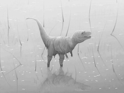 Ricostruzione di un tirannosauro giovane