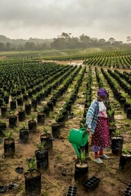 Morocco Generation Green