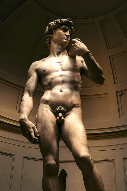 Miguel Ángel Buonarroti, David (1501-1504). El David encarna un ideal humano, pero la vida real no está hecha de mármol sino de intentos y errores