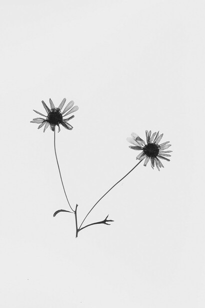 © Major Ákos, Dad's walks. Untitled #19, 2020. Courtesy of Tobe Gallery