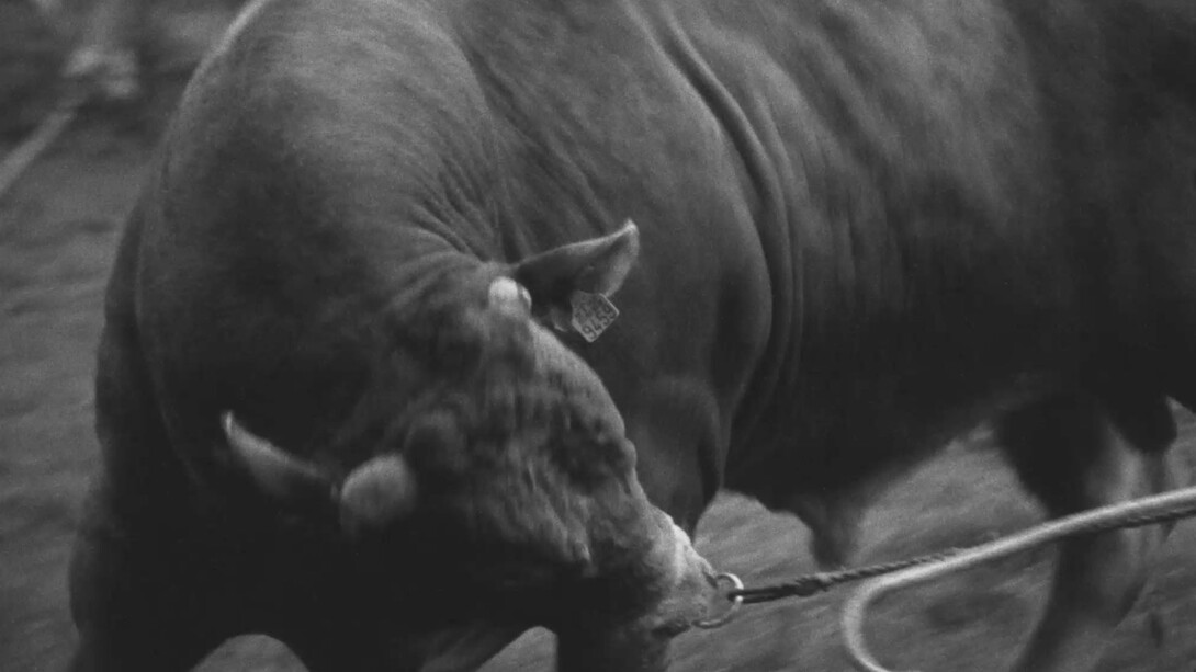 Chantal Maes, José. Le dernier jour, 2024-2025. Avec l'aimable autorisation de BPS22 © Chantal Maes