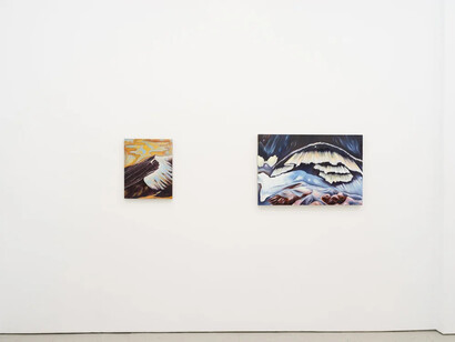 Sabrina Piersol, Outside your cloud, exhibition view. Courtesy of Jack Barrett Gallery