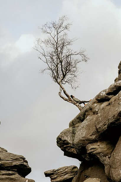 A person leans against a tree atop a large rock, gazing into the distance
