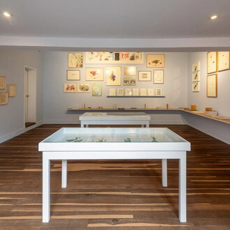 The being of drawing, exhibition view. Courtesy of Casas Riegner Gallery