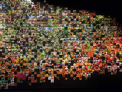 Trevor Paglen, vista de la instalación From 'Apple' to 'Anomaly' (Londres, 2019–2020)