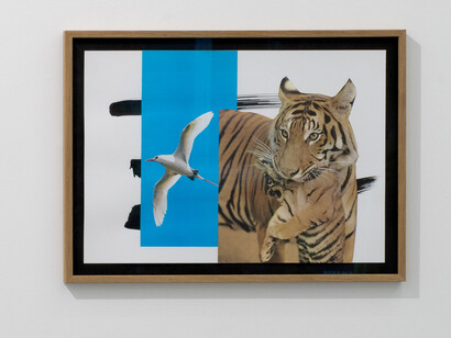 Helga Schmidhuber, Morpheus mango mau, ausstellungsansicht. Mit freundlicher genehmigung der Aoa;87 Gallery. Foto von Dotgain