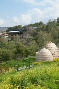 The breathtaking view of one of the natural gardens in Qasayel Ma'an in Jordan