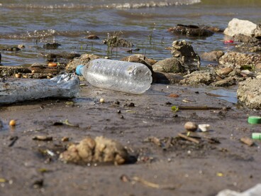 A forma clínica da doença pode variar desde sintomas leves, como febre e dores musculares, até complicações graves, incluindo hepatite hemorrágica, insuficiência renal e síndrome pulmonar, com taxa de mortalidade que pode ultrapassar 70% em casos não tratados (Costa, et al., 2014). Além disso, a similitude clínica com outras arboviroses, como dengue e Zika, contribui para a subnotificação e diagnóstico tardio (Larocque, Luckai, & Riopel, 2005)