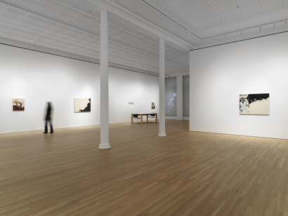 Brenda Draney, Out of the woods, exhibition view. Courtesy of Ortuzar Gallery