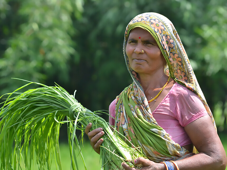 The rise of the 'she-conomy' in South Asia