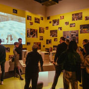 Game worlds, exhibition view. Courtesy of ACMI