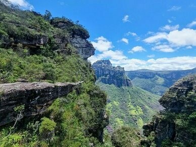 Situado no centro oeste do interior da Bahia, o município de Palmeiras e seus artistas e agentes culturais, ainda encontram dificuldades para fazer parte do circuito cultural do estado e do país, assim, atividades de fomento às Artes são escassas, e acontecem em sua maioria, por persistente esforço de artistas, agentes culturais, e captação de recursos independentes