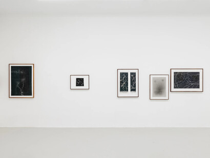 Maximilian Prüfer, Nebenlinien - 15 Jahre Naturantypie, exhibition view. Courtesy of Galerie Kandlhofer