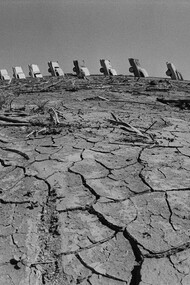 Amarillo, Texas / May 7, 1977. “Cadillac Ranch” is an art installation created in 1974 and consists of a row of old Cadillacs set in a field alongside a Texas highway. Driving past, I was so impressed by the beauty of it that I stopped and took photographs. I did not know it was art—it was simply majestic. In 1997 the installation was moved two miles to the west. The Cadillacs are still visible from the highway.