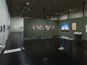 Diversos artistas, Histórias da ecologia, vista da exposição. Cortesia do MASP