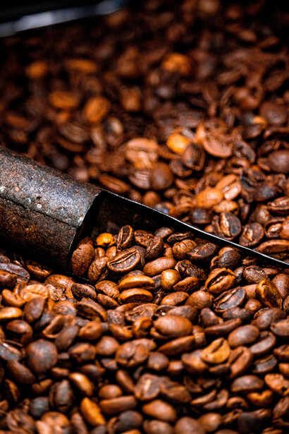 Brasil lidera la producción mundial de café con más de 54 millones de sacos en 2024, seguido de cerca por Vietnam
