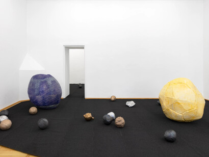 Sonia Leimer, Dust buddies, exhibition view. Courtesy of Galerie nächst St. Stephan