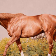 Joseph Black, Transition (detail), 2025. Courtesy of Jonathan Cooper Gallery