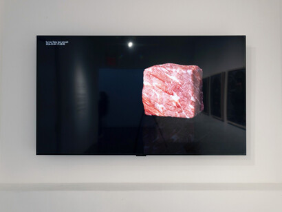 Jen Liu, Pound of flesh, exhibition view. Courtesy of Silverlens