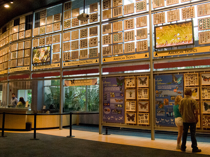 Indoor Butterfly Exhibits Meer
