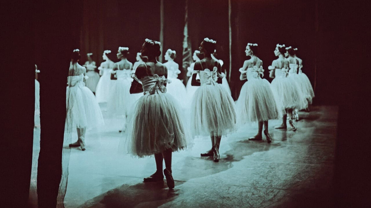 Diana Markosian, The corps (detail), 2024. Courtesy of Rosegallery