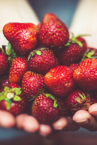 Las cuatro riquezas: Dharma, artha, kama y moksha