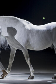 Simon Porte Jacquemus, P/E 2016