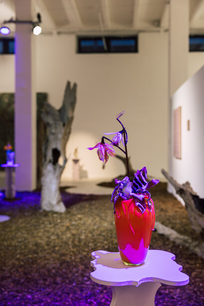 Tomáš Žemla and František Jungvirt, Off the beaten track, exhibition view. Courtesy of the Chemistry Gallery. Photo by Petr Kopal