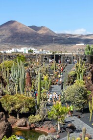Jardin de Cactus, Lanzarote, Spagna