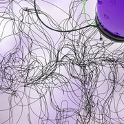 Michel Paysant, Eye drawing studio eyetracking y robot, obras en producción, vista del taller© Adagp, Paris, 2025. Cortesía del Musée de l'Orangerie