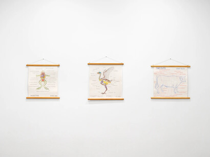 Mark Dion, exhibition view. Courtesy of Tanya Bonakdar Gallery