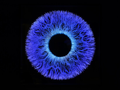 NagyMolnar, Iris 5, 2022. Courtesy of Oliver Cole Gallery