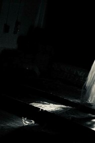 Dulcinea Dream Scene in the devised piece Rocinante! Rocinante! by Panta Rei Theatre directed by Chiara D’Anna. An example of visual language in devised theatre