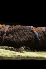 Infant mummy circa 1000 BC