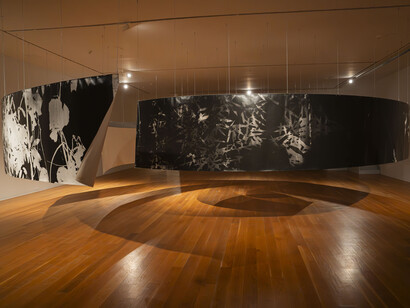 Roberto Huarcaya, Interstices. Photograms 2014-2025, exhibition view. Courtesy of MARCO